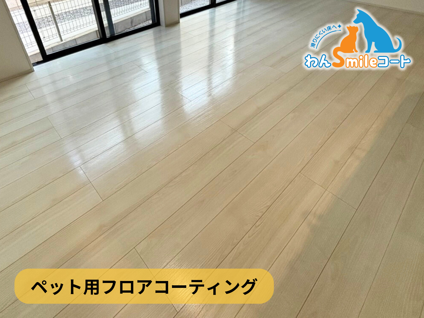 【東京都中央区明石町】フロアコーティング施工事例｜新築戸建 　11月11日 ペット用フロアコーティング　わんスマイルコート
