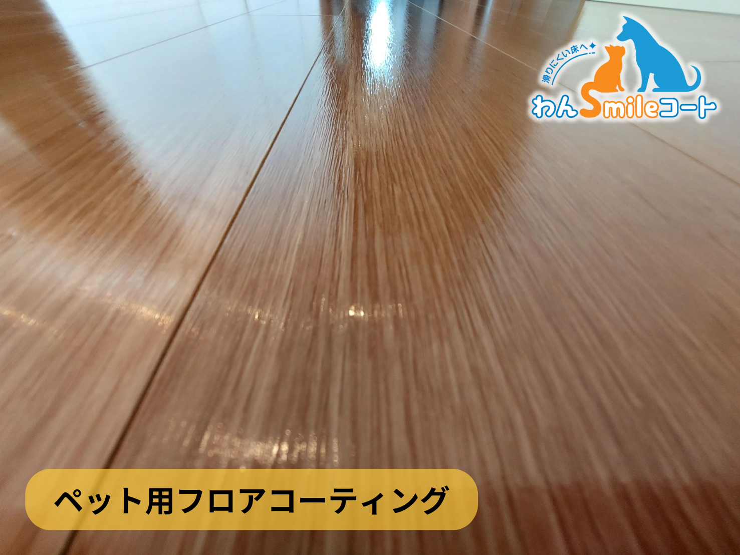 【東京都世田谷区成城】フロアコーティング施工事例｜新築戸建 　11月20日 ペット用フロアコーティング　わんスマイルコート