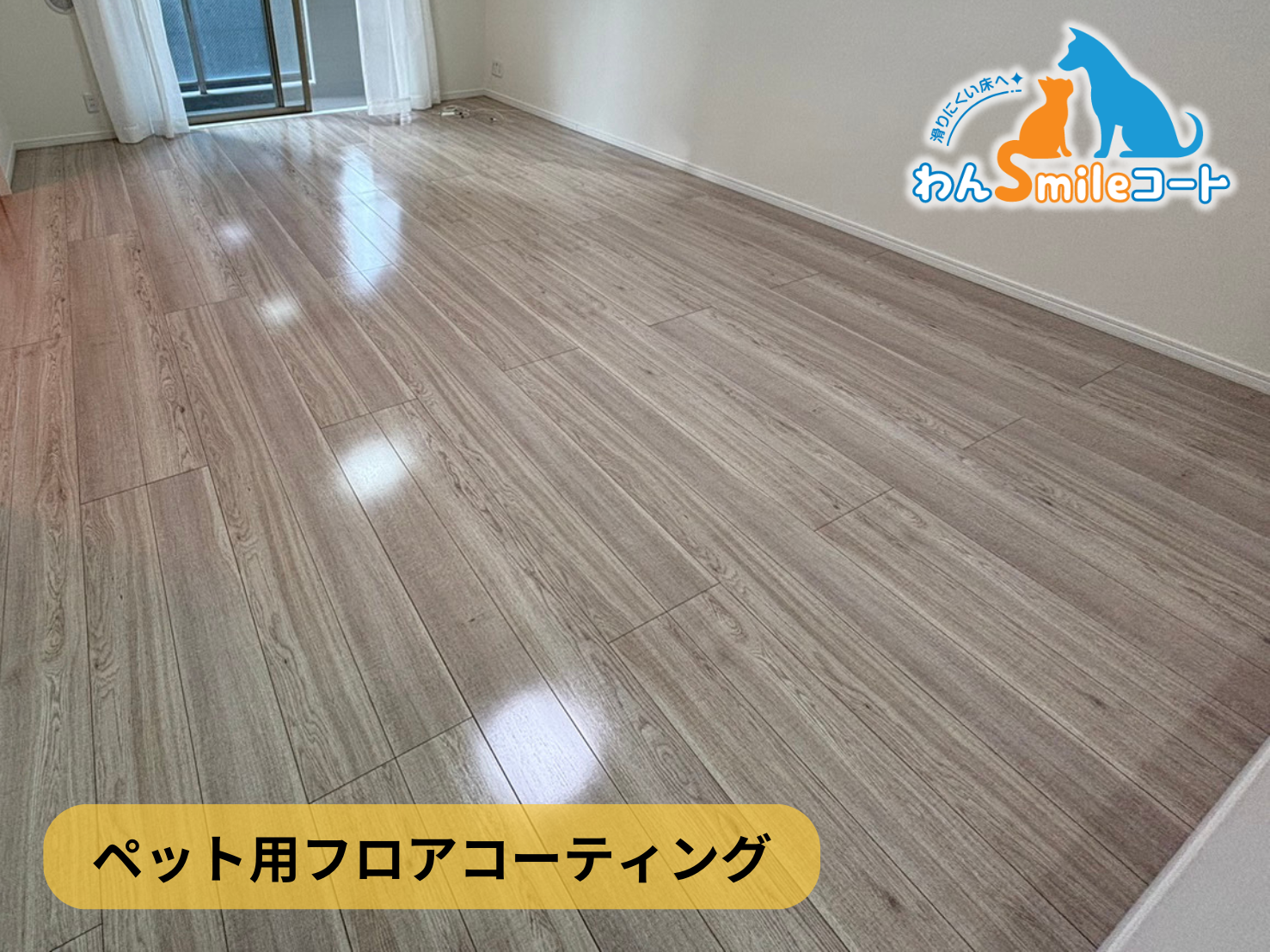 【神奈川県川崎市川崎区】フロアコーティング施工事例｜新築戸建 　11月11日 ペット用フロアコーティング　わんスマイルコート