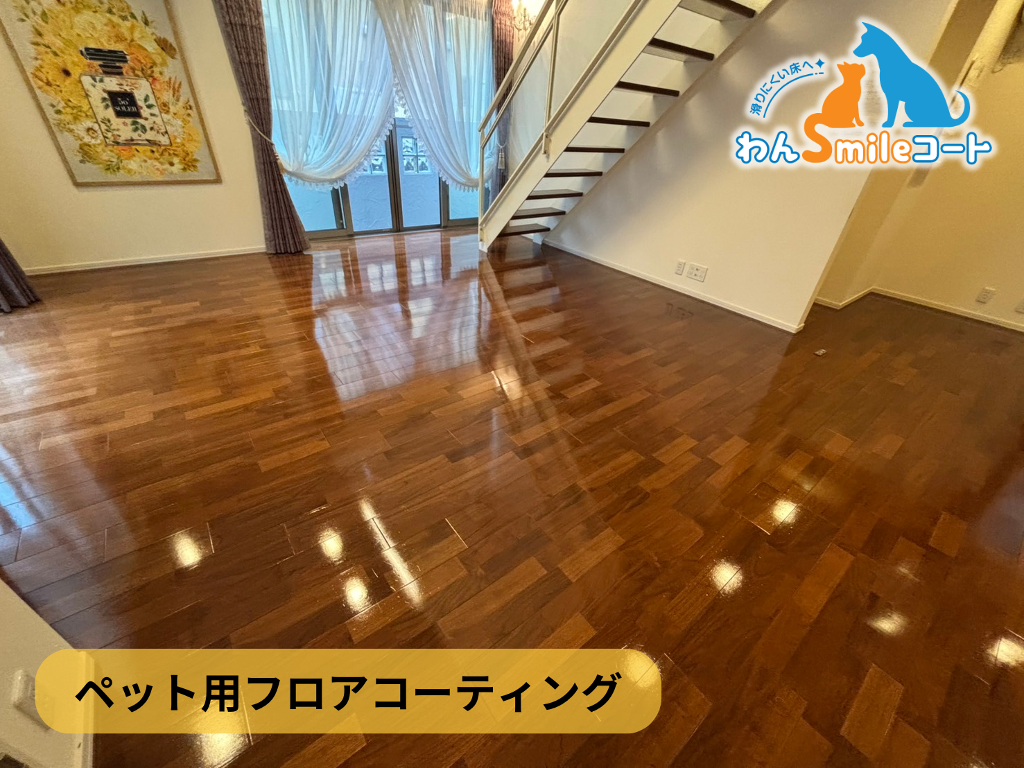 【埼玉県春日部市本田町】フロアコーティング施工事例｜入居中戸建（築15年）（へーベルハウス） 　11月25日 ペット用フロアコーティング　わんスマイルコート