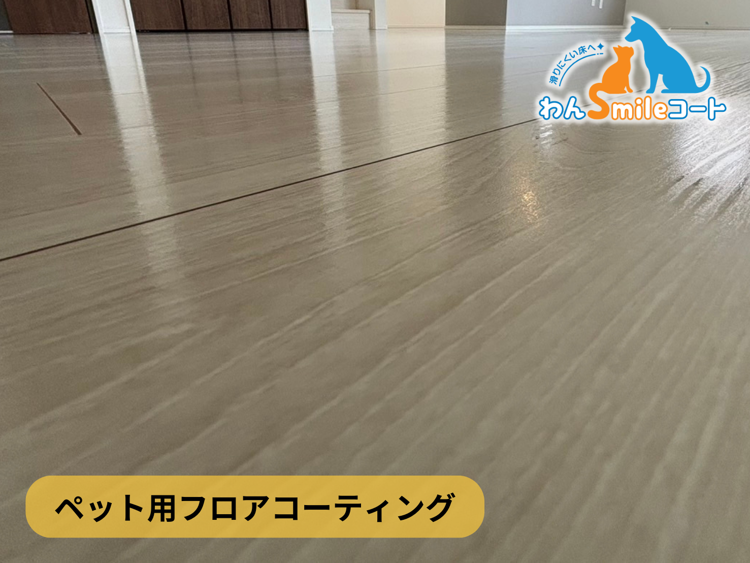 【東京都世田谷区代田】フロアコーティング施工事例｜新築戸建　11月27日 ペット用フロアコーティング　わんスマイルコート