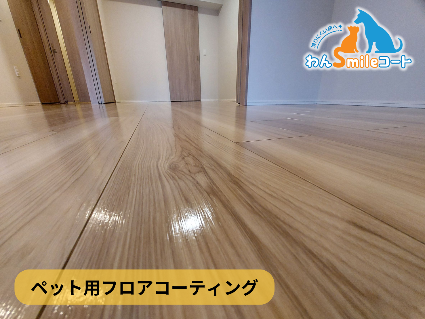 【東京都世田谷区深沢】フロアコーティング施工事例｜新築戸建　11月18日 ペット用フロアコーティング　わんスマイルコート