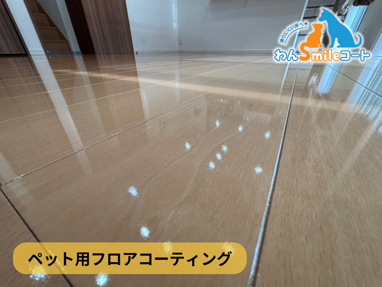 【栃木県下都賀郡野木町友沼】フロアコーティング施工事例|入居中戸建(築10年) 11月8日 ペット用フロアコーティング わんスマイルコート
