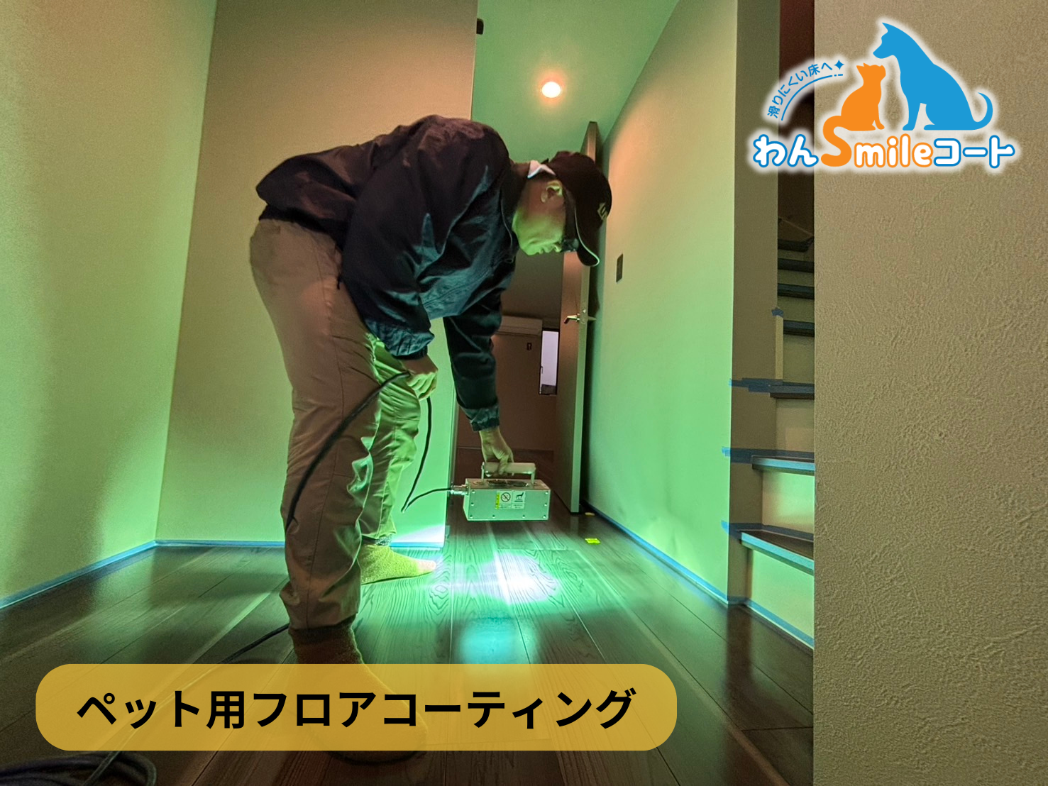 【東京都江戸川区南篠崎町】フロアコーティング施工事例｜新築戸建 　11月18日 ペット用フロアコーティング　わんスマイルコート