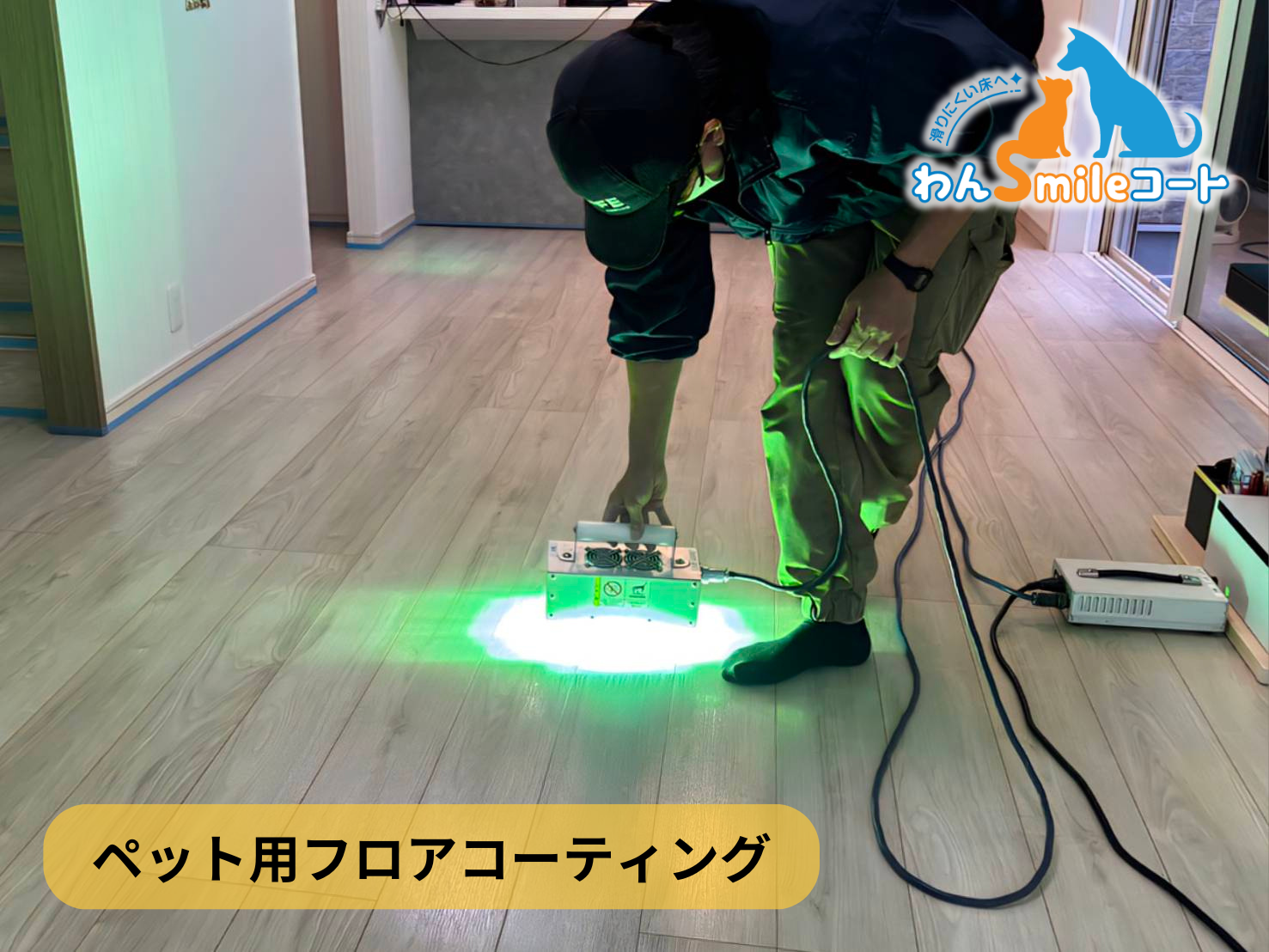 【東京都杉並区本天沼】フロアコーティング施工事例|入居中戸建(築1年) 11月8日 ペット用フロアコーティング わんスマイルコート