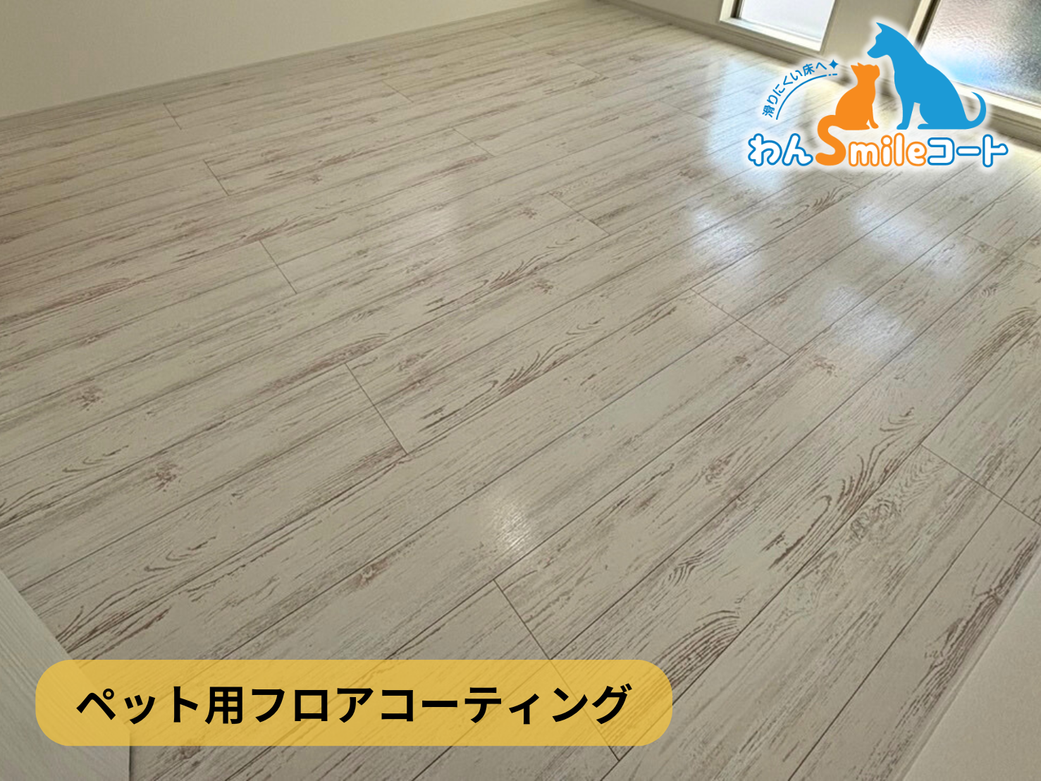 【東京都江東区青海】フロアコーティング施工事例|新築戸建 11月10日 ペット用フロアコーティング わんスマイルコート