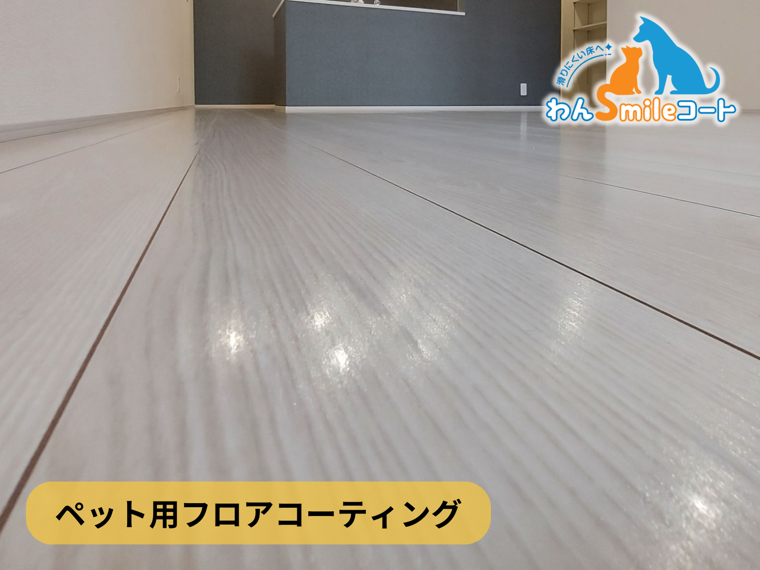 【神奈川県横浜市青葉区】フロアコーティング施工事例｜新築戸建　11月27日 ペット用フロアコーティング　わんスマイルコート
