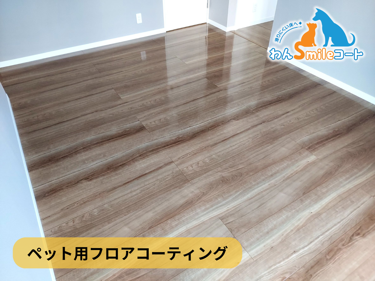 【神奈川県横浜市鶴見区】フロアコーティング施工事例|新築戸建マンション 11月9日 ペット用フロアコーティング わんスマイルコート