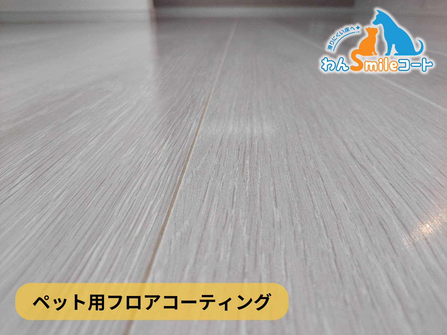 【神奈川県横浜市青葉区】フロアコーティング施工事例|新築戸建 11月9日 ペット用フロアコーティング わんスマイルコート
