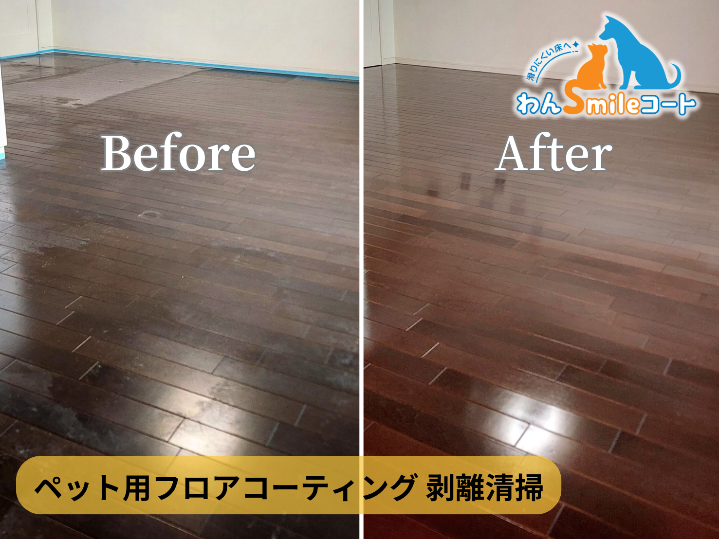 【東京都荒川区南千住】フロアコーティング施工事例|入居中マンション 11月6日 ペット用フロアコーティング わんスマイルコート 剥離清掃