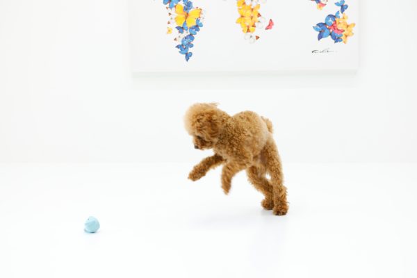 滑りにくいフロアコーティングで安心して歩ける新築住宅の床
