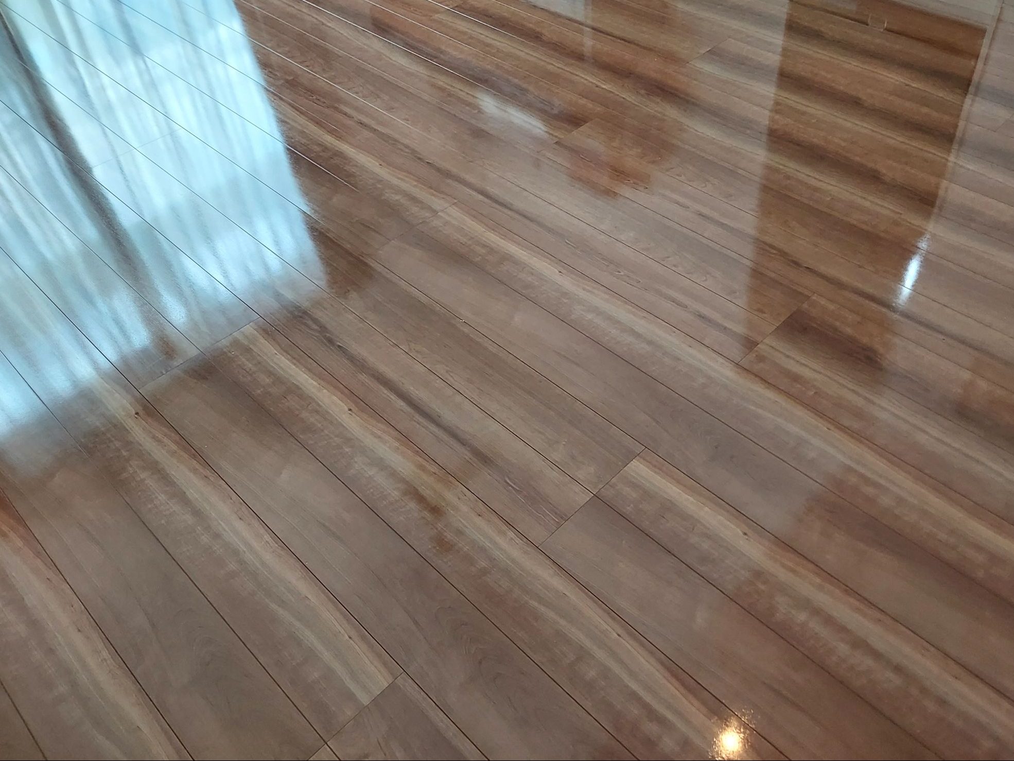 東京都世田谷区深沢 フロアコーティング 施工後 わんスマイルコート