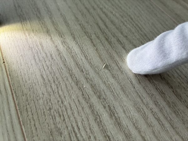 千葉県千葉市美浜区　フロアコーティング　内覧会同行