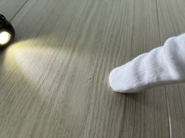 千葉県千葉市美浜区　フロアコーティング　内覧会同行