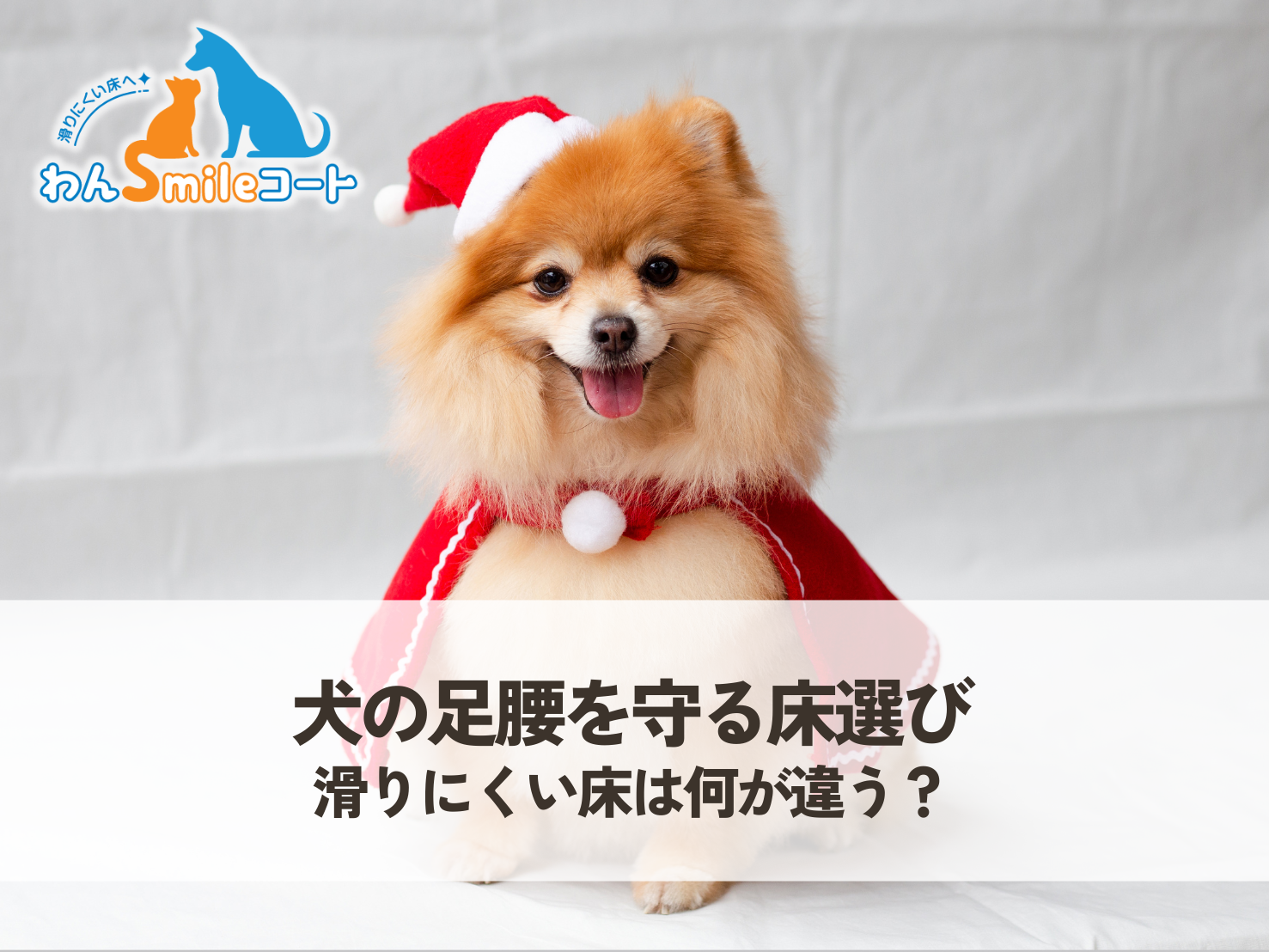 犬の足腰を守る床選び｜滑りにくい床は何が違う？