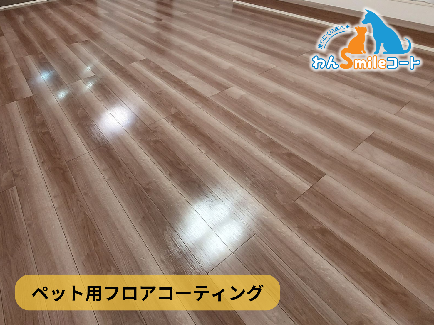 【神奈川県横浜市青葉区】フロアコーティング施工事例|新築戸建 12月2日 ペット用フロアコーティング わんスマイルコート