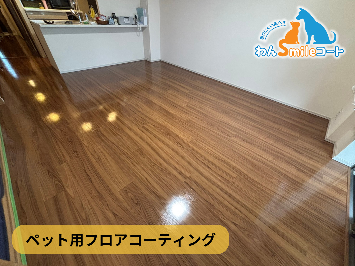 【千葉県千葉市稲毛区】ペット用フロアコーティング施工事例｜わんスマイルコート