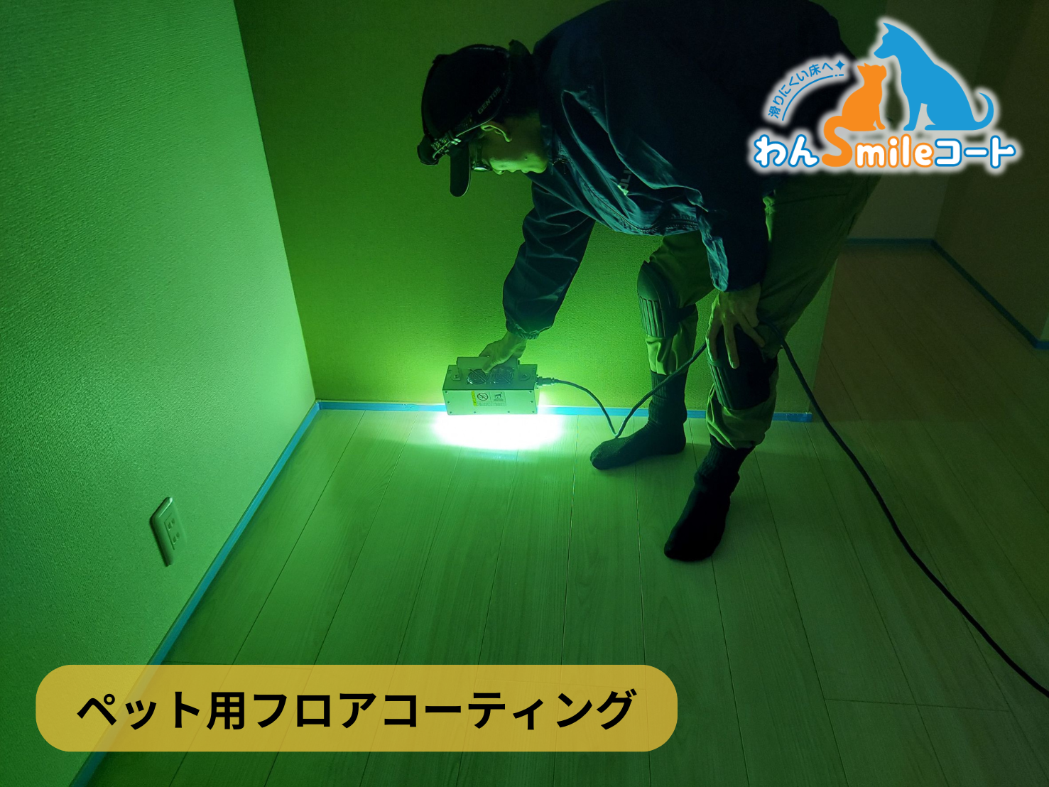 【福島県いわき市】ペット用フロアコーティング施工事例|わんスマイルコート