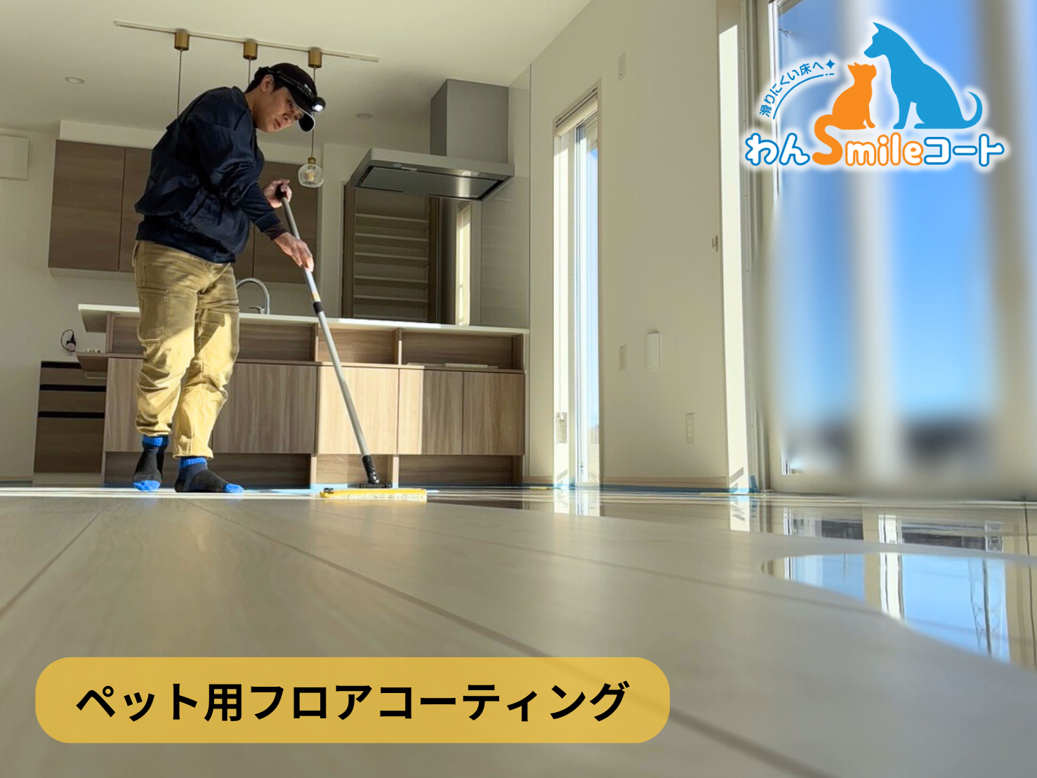 【群馬県高崎市阿久津町】フロアコーティング施工事例|新築戸建 12月16日 ペット用フロアコーティング わんスマイルコート