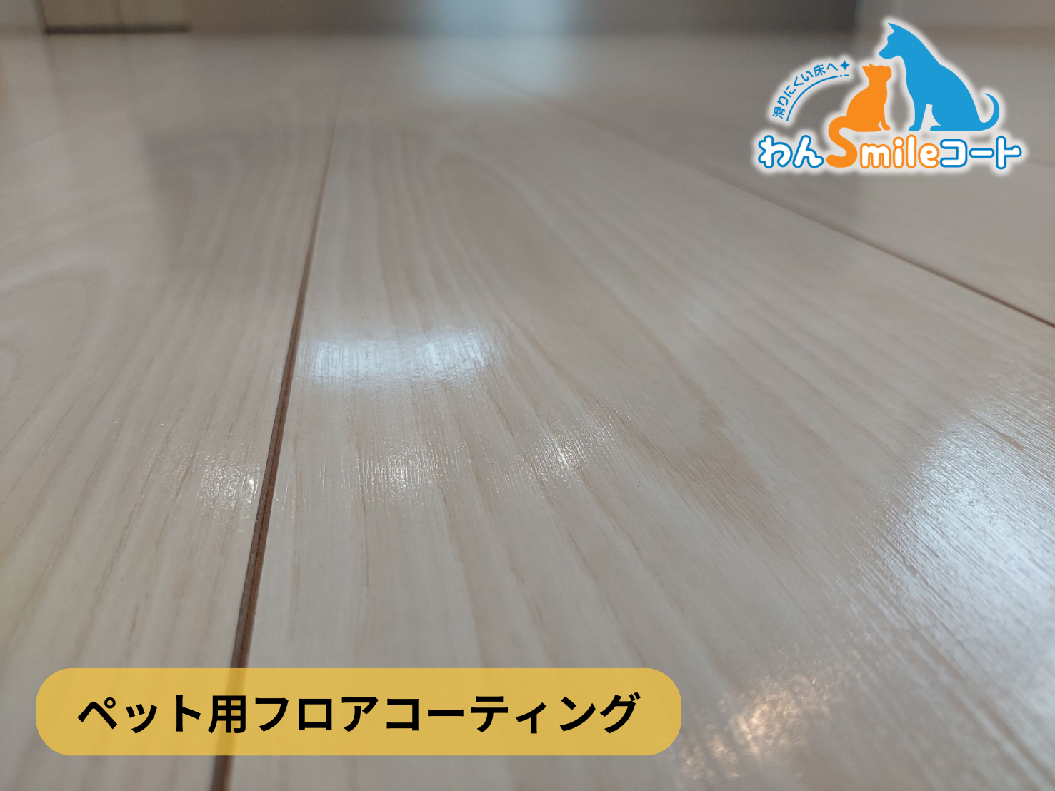 【神奈川県横浜市保土ヶ谷区】フロアコーティング施工事例|新築戸建 12月9日 ペット用フロアコーティング わんスマイルコート