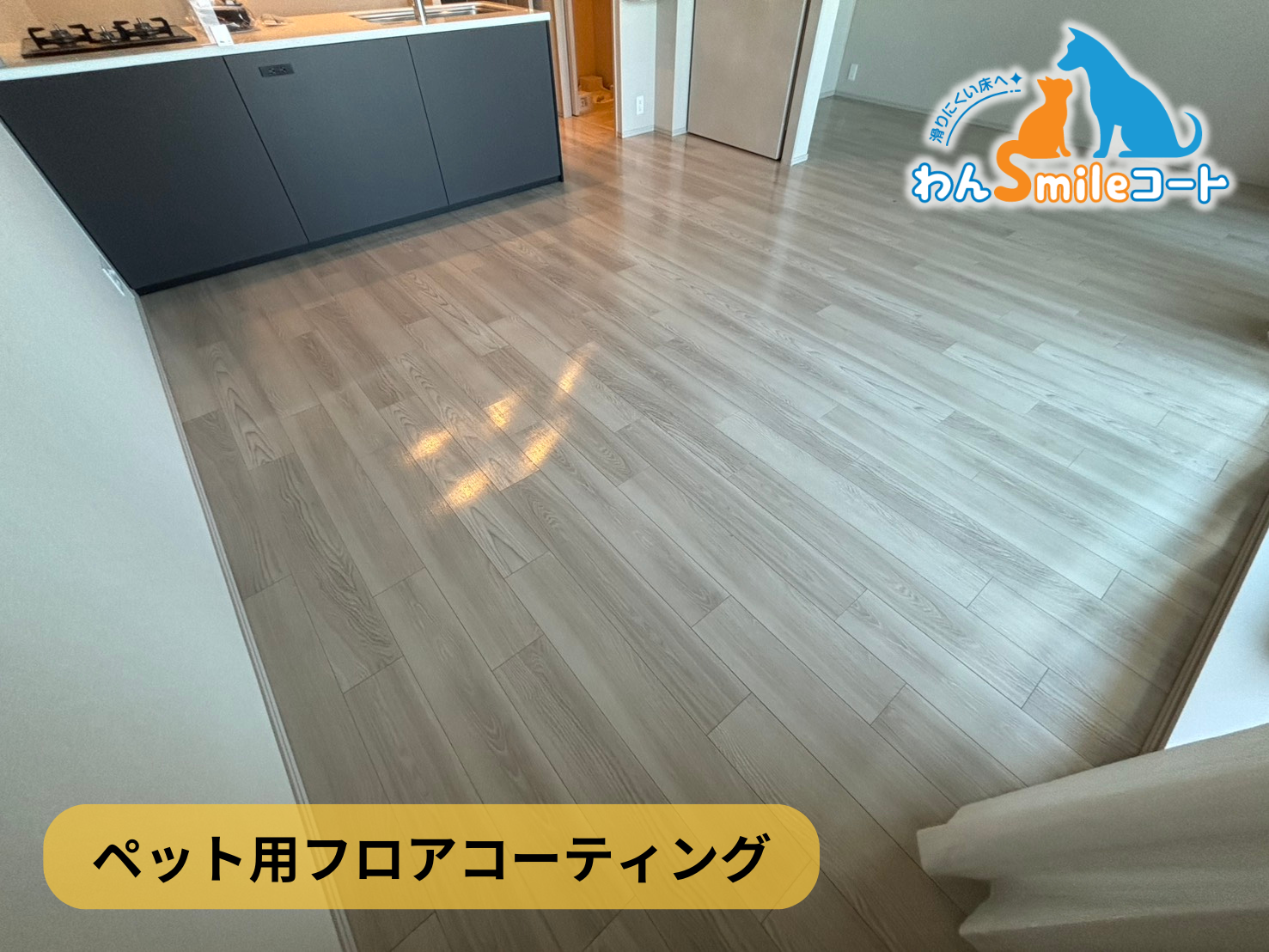 【神奈川県川崎市川崎区】ペット用フロアコーティング施工事例｜新築マンション(ブランシエラ川崎大島)　わんスマイルコート