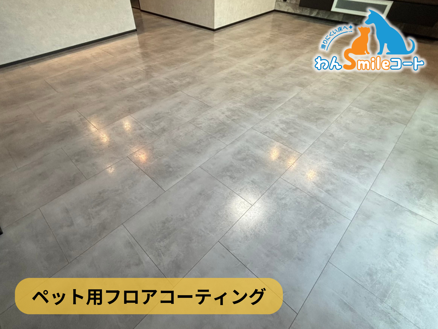 【東京都武蔵村山市三ツ木】フロアコーティング施工事例|新築戸建 12月7日 ペット用フロアコーティング わんスマイルコート