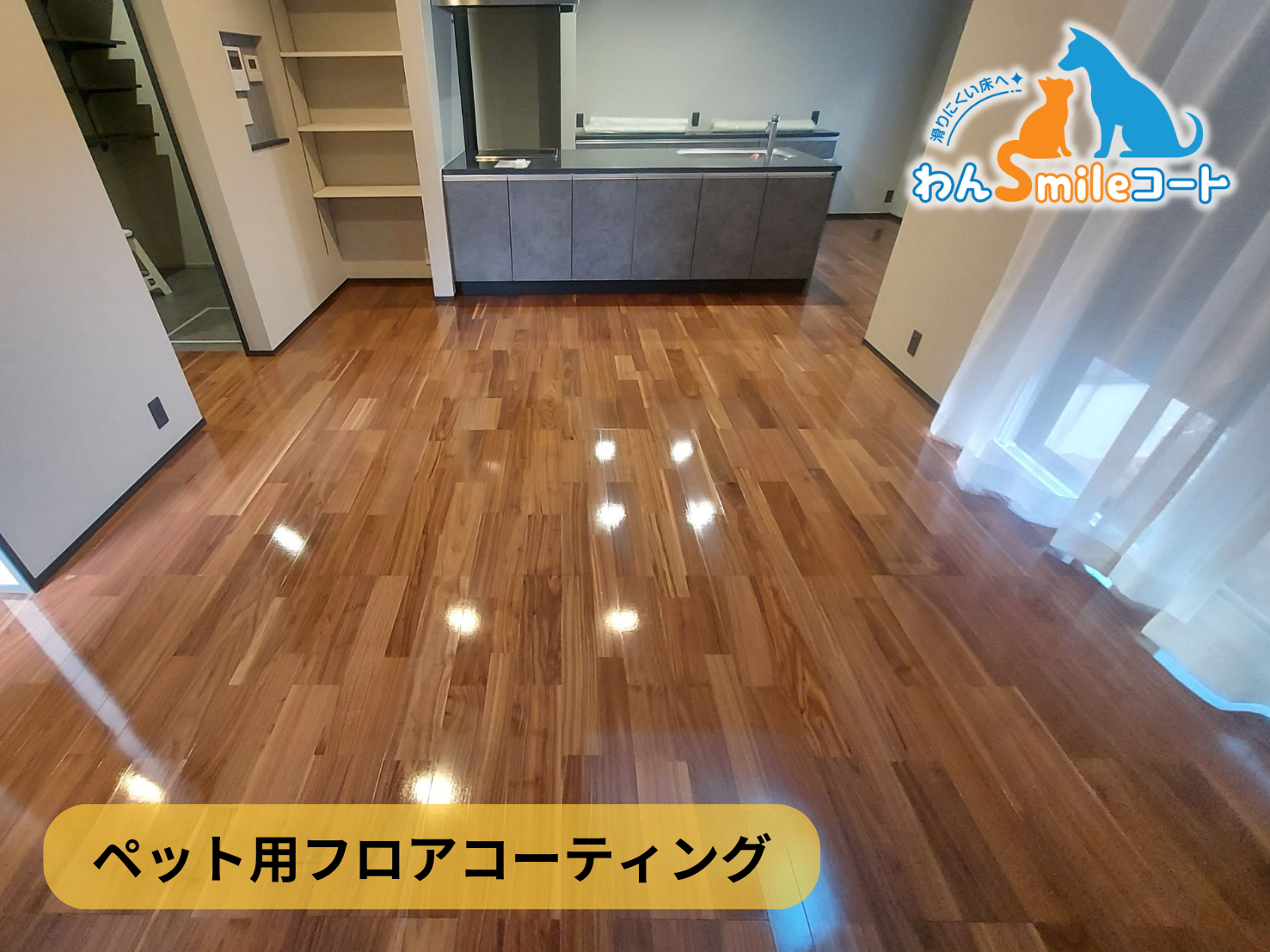 【埼玉県川越市】ペット用フロアコーティング施工事例|わんスマイルコート