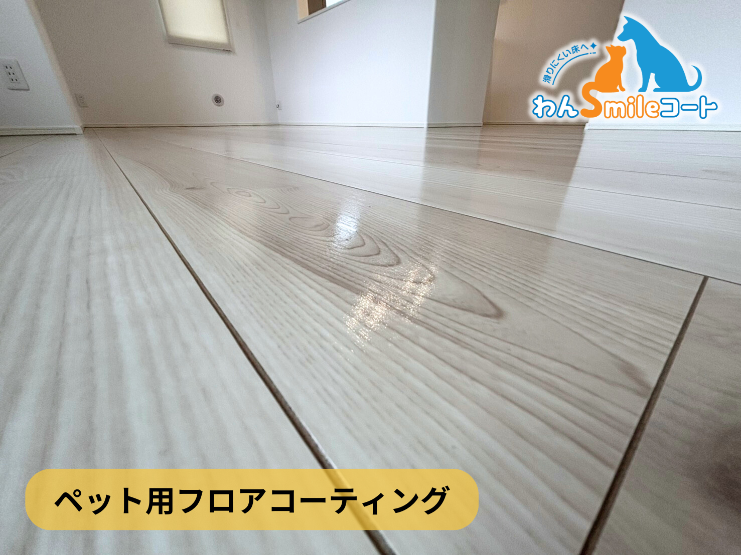 【埼玉県さいたま市西区】ペット用フロアコーティング施工事例｜わんスマイルコート