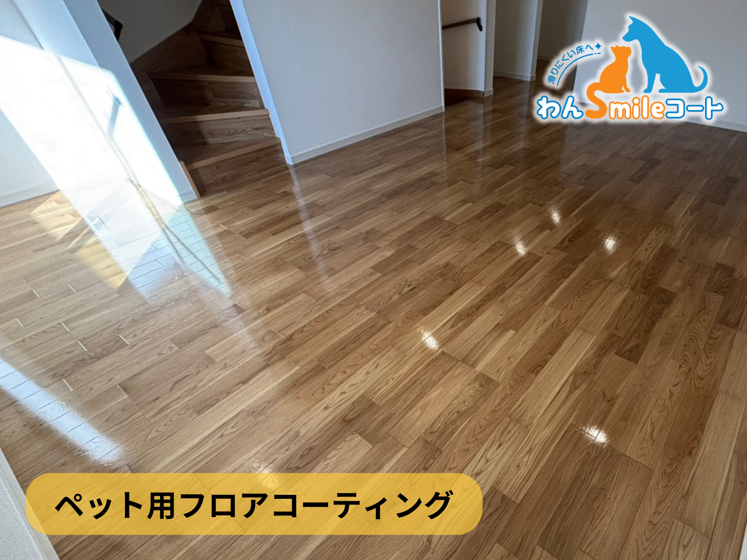 【埼玉県新座市栗原】フロアコーティング施工事例|新築戸建 12月12日 ペット用フロアコーティング わんスマイルコート