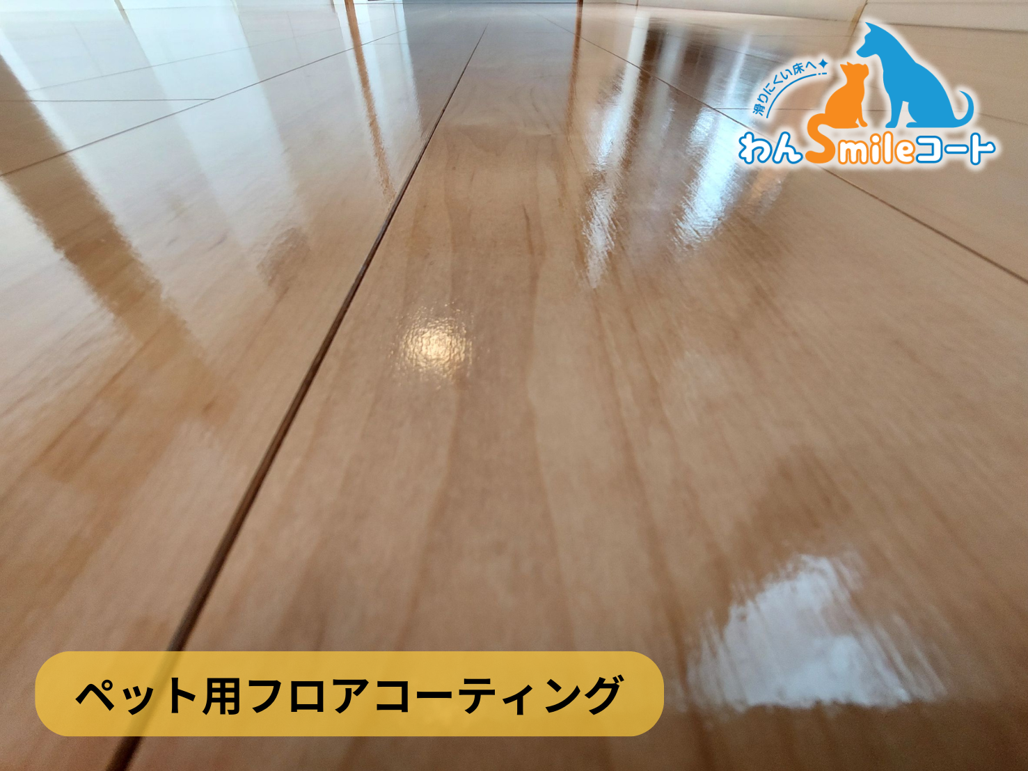【東京都世田谷区桜丘】フロアコーティング施工事例|新築戸建 12月4日 ペット用フロアコーティング わんスマイルコート