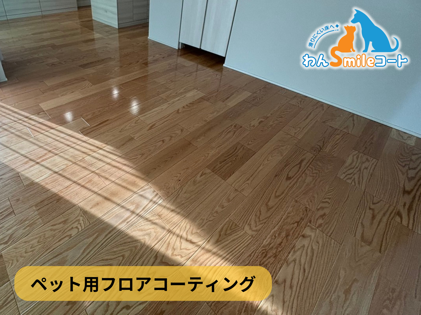 【東京都江戸川区南小岩 】フロアコーティング施工事例｜新築戸建 　12月1日 ペット用フロアコーティング　わんスマイルコート