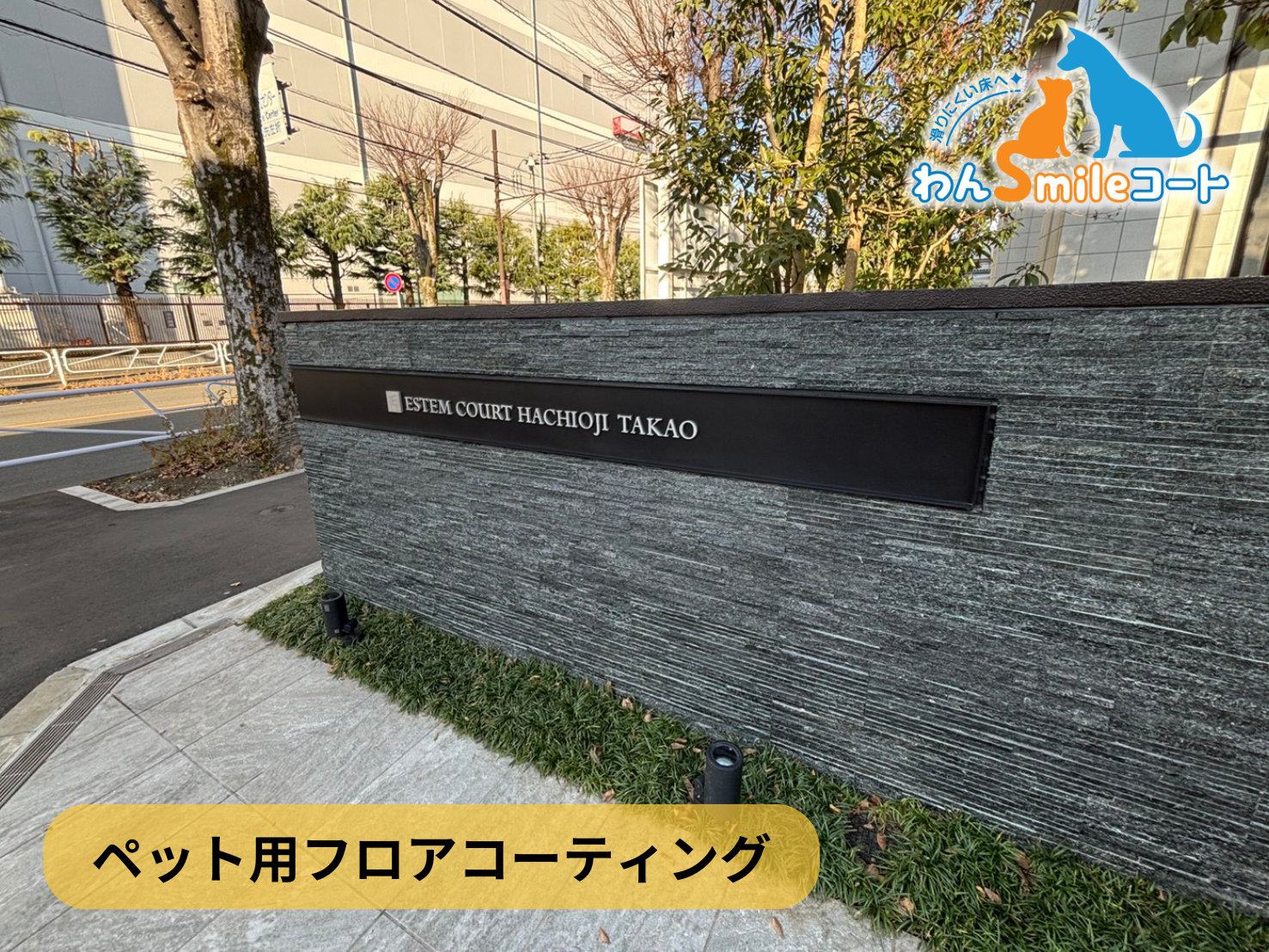 【東京都八王子市】ペット用フロアコーティング施工事例|わんスマイルコート