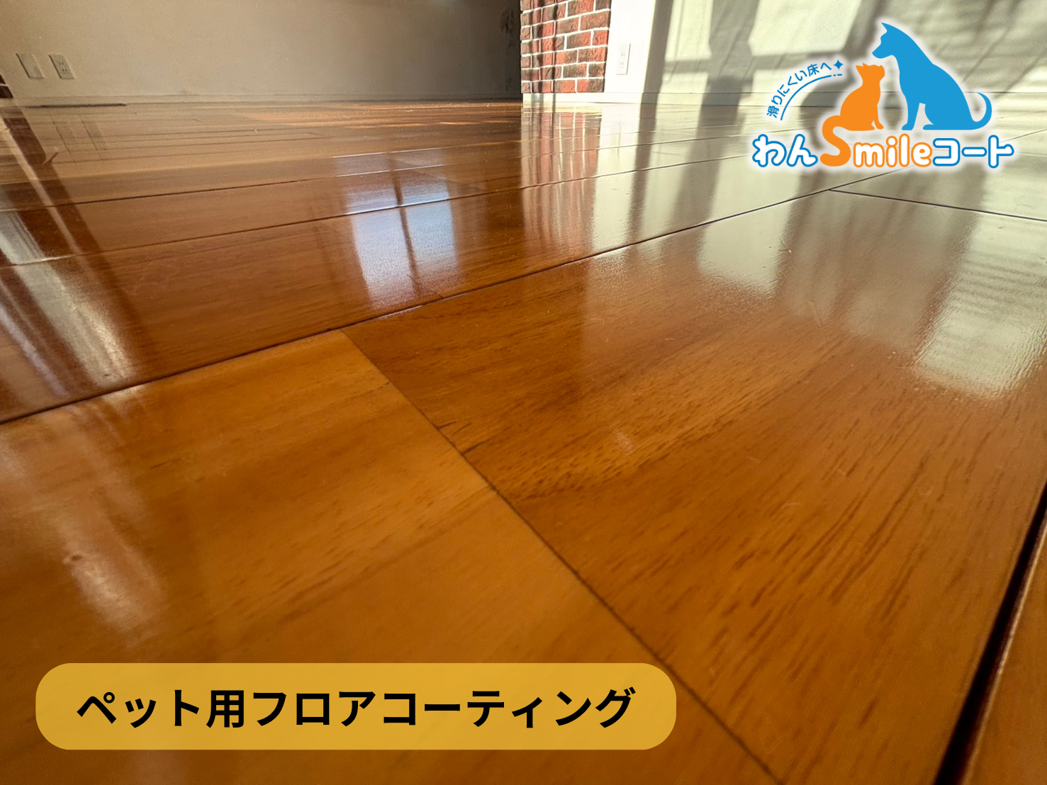 【東京都練馬区北町】フロアコーティング施工事例|入居中マンション 12月8日 ペット用フロアコーティング わんスマイルコート