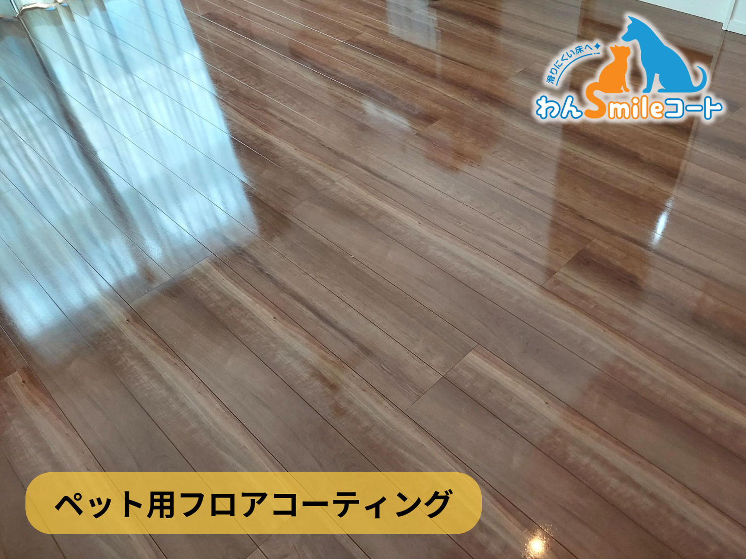 【東京都世田谷区深沢】フロアコーティング施工事例|新築戸建 12月9日 ペット用フロアコーティング わんスマイルコート