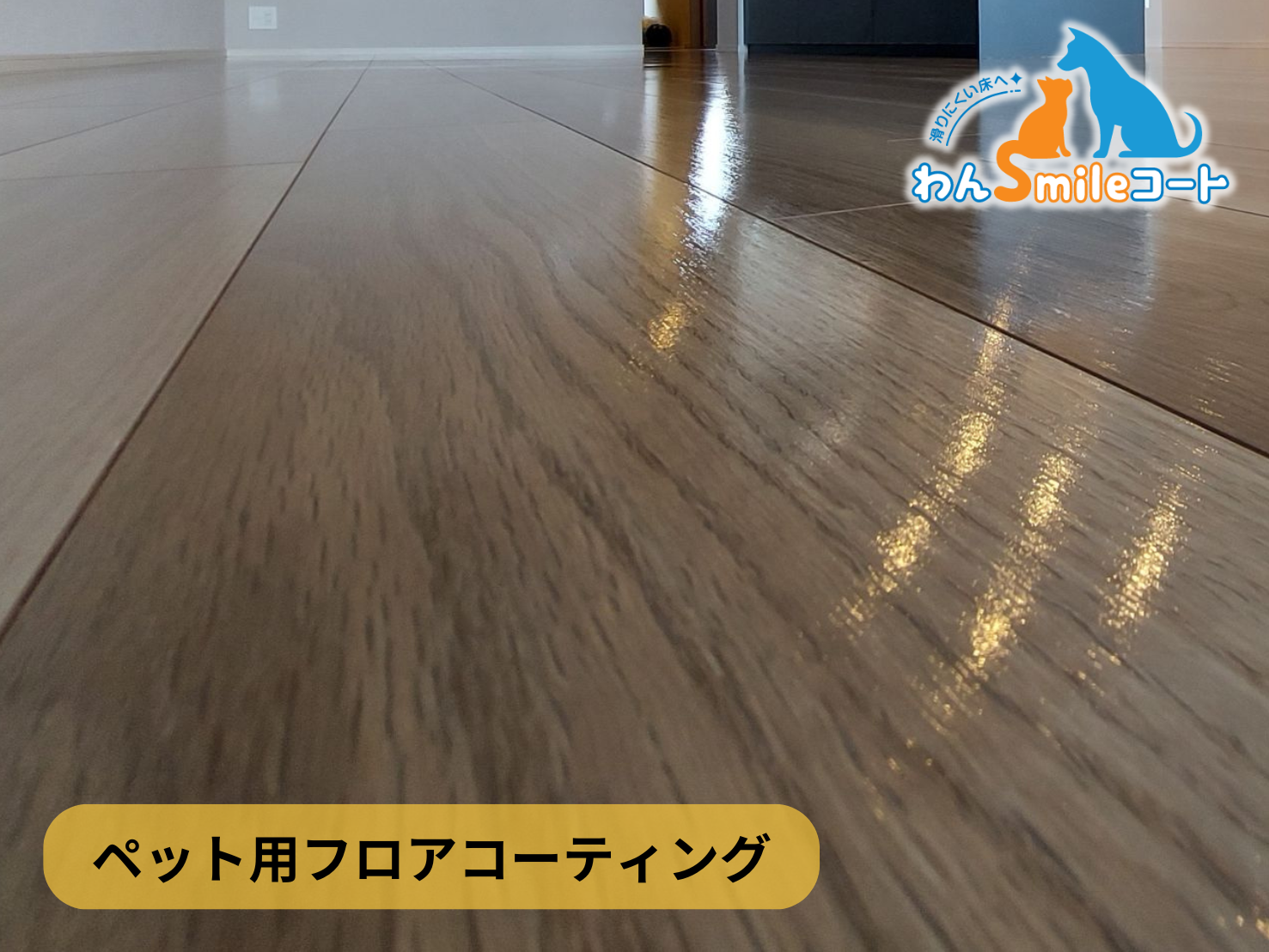【東京都世田谷区赤堤】フロアコーティング施工事例｜新築戸建 　12月3日 ペット用フロアコーティング　わんスマイルコート 現在の画像に代替テキストがありません。ファイル名: floorcoating-pet-tokyo-setagaya.png 置換 削除