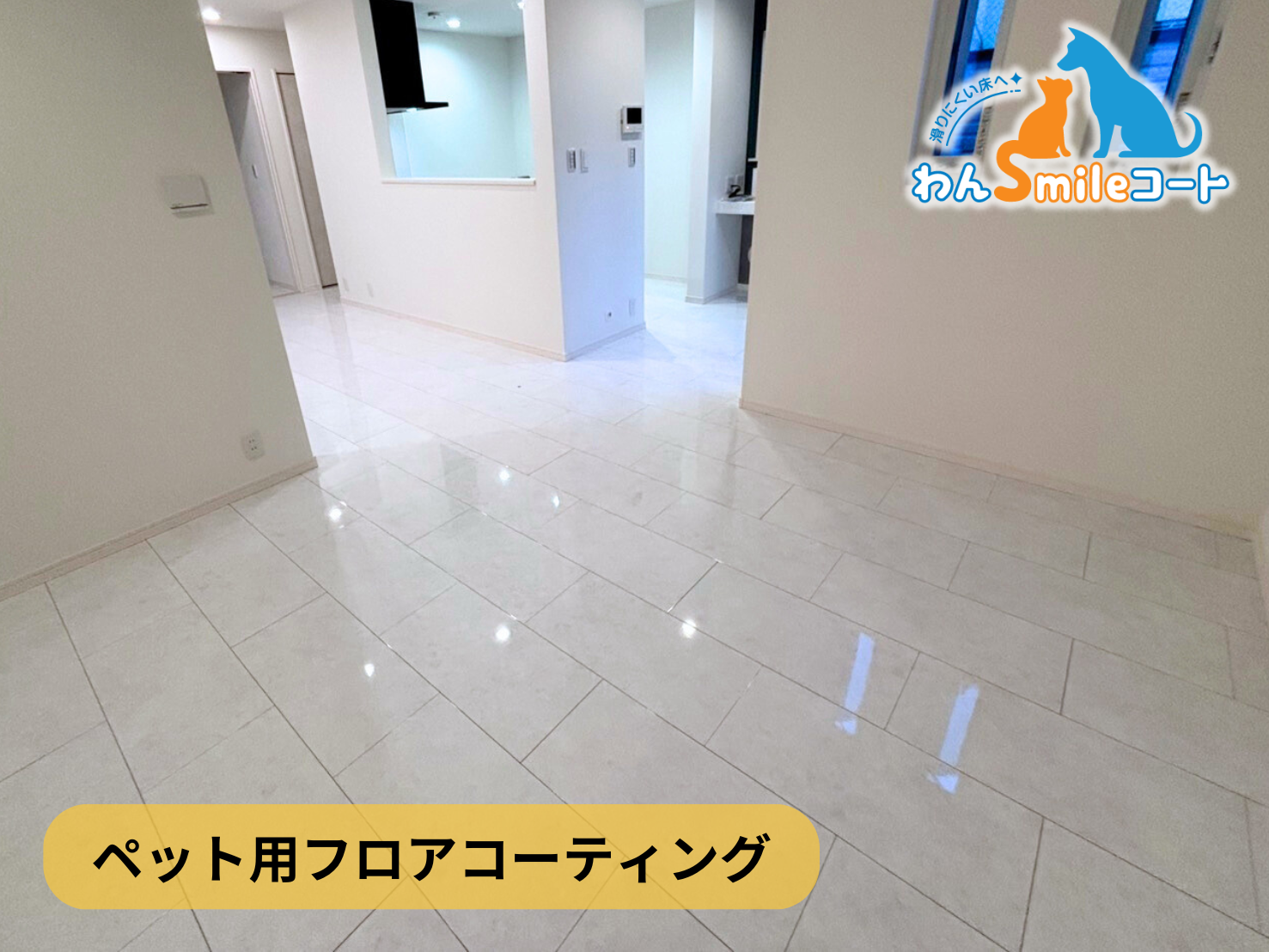 【東京都杉並区】ペット用フロアコーティング施工事例｜新築戸建　わんスマイルコート