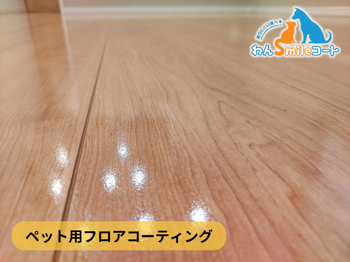 【神奈川県横浜市青葉区】フロアコーティング施工事例|新築戸建 12月8日 ペット用フロアコーティング わんスマイルコート