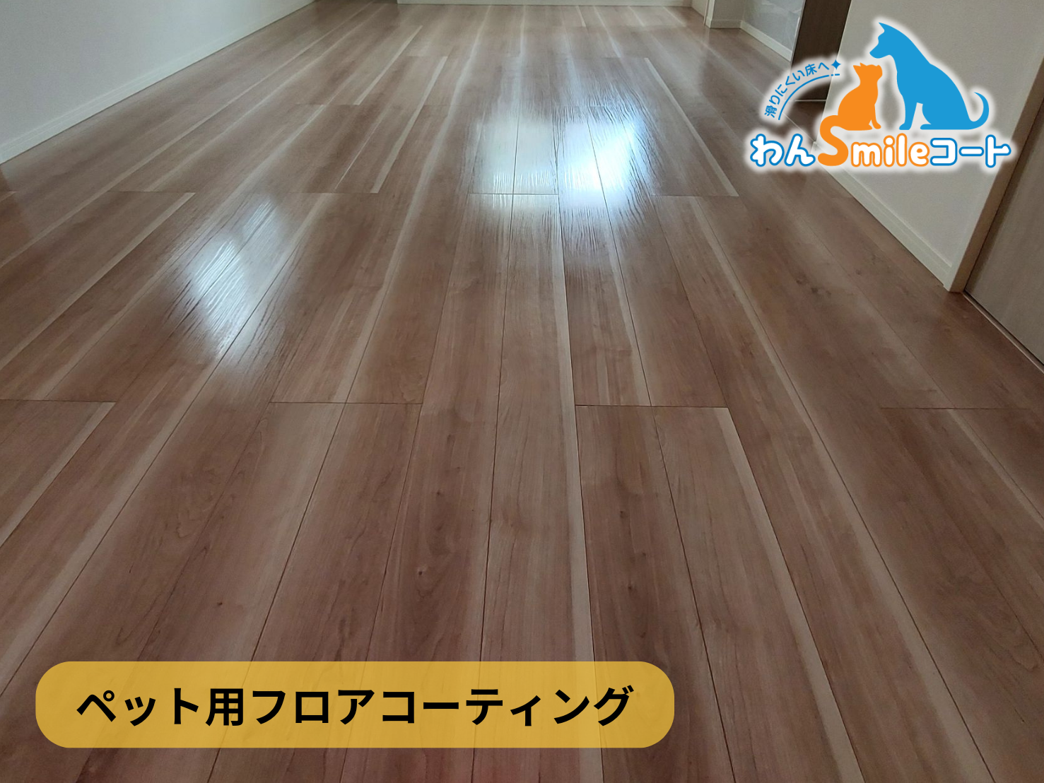 【神奈川県横浜市神奈川区】フロアコーティング施工事例|新築戸建 12月4日 ペット用フロアコーティング わんスマイルコート