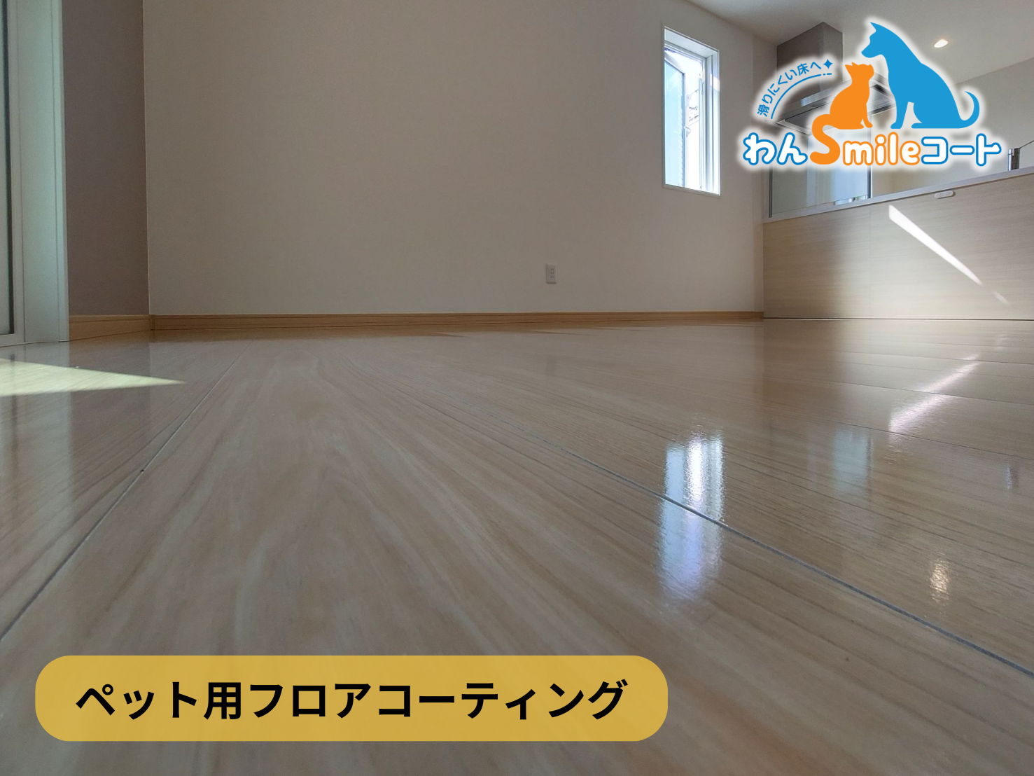 【神奈川県横浜市都筑区】フロアコーティング施工事例|新築戸建 12月4日 ペット用フロアコーティング わんスマイルコート