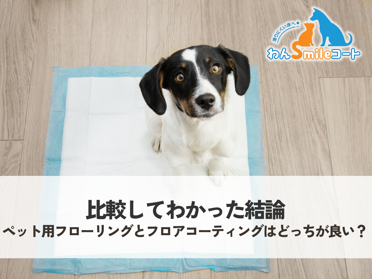 ペット用フローリングとフロアコーティングはどっちが良い？比較してわかった結論