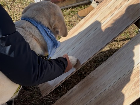 わんスマイルコートのサンプルを触って体感する来場者さまの様子