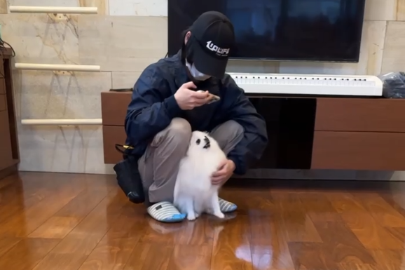 ペット用フロアコーティング　わんスマイルコート　施工後の様子　東京都品川区