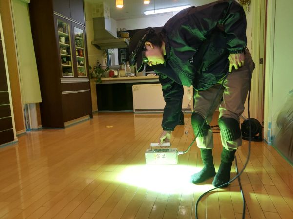 福島県郡山市フロアコーティング 施工中 わんスマイルコート