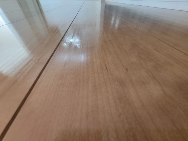 群馬県安中市フロアコーティング 施工後 わんスマイルコート