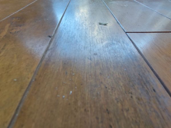 さいたま市北区 フロアコーティング 施工前の様子