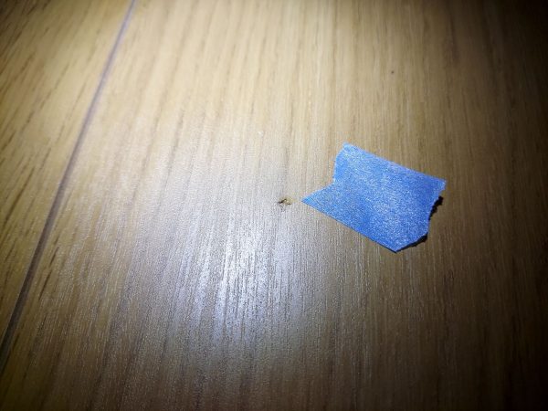 【神奈川県相模原市】フロアコーティング　新築戸建　内覧会同行