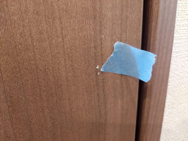 【東京都国分寺市】フロアコーティング　新築戸建　内覧会同行