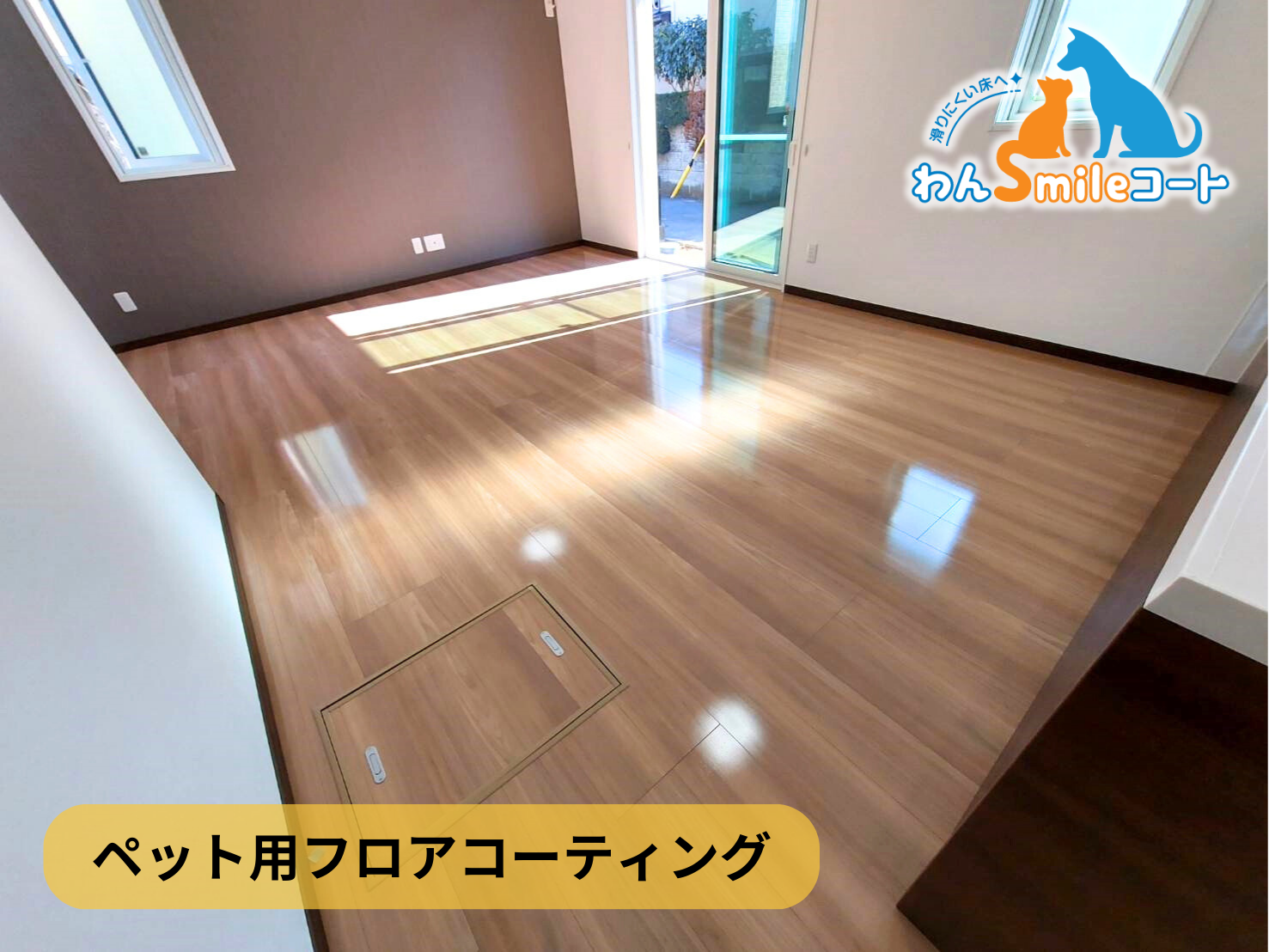 【千葉県柏市】ペット用フロアコーティング施工事例｜新築戸建　わんスマイルコート