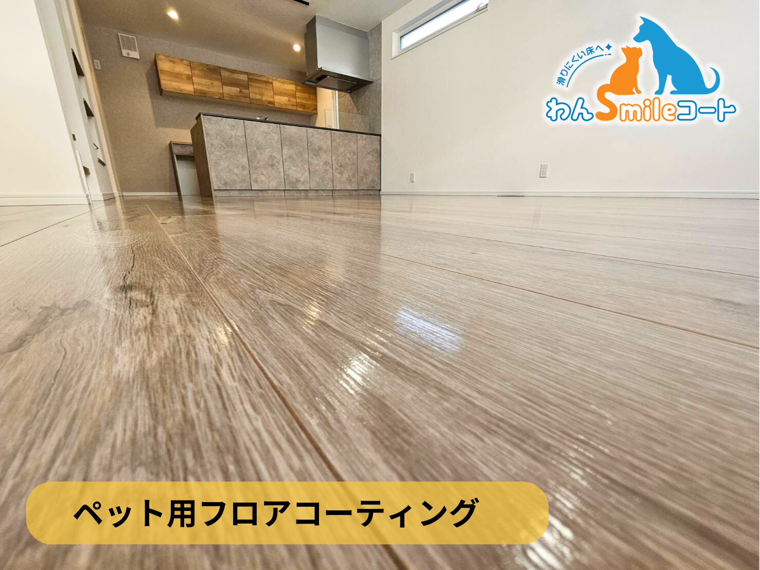【神奈川県川崎市中原区】ペット用フロアコーティング施工事例｜新築戸建　わんスマイルコート