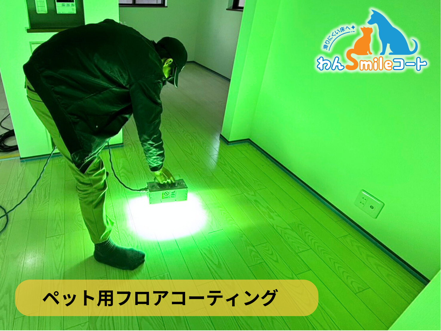 【埼玉県新座市】ペット用フロアコーティング施工事例｜新築戸建　わんスマイルコート